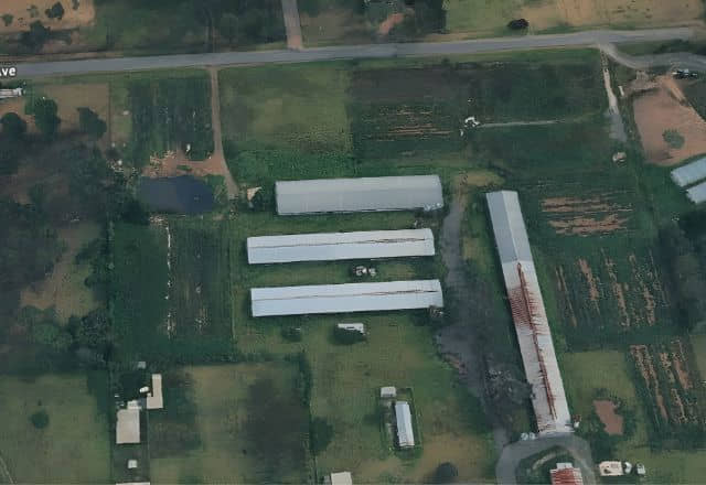 Austral — Lot 185