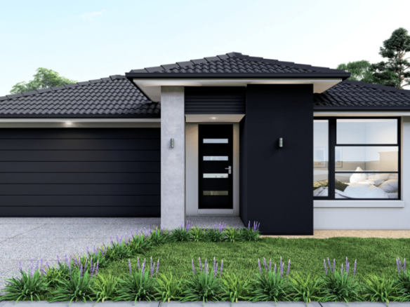 Donnybrook — Lot 524