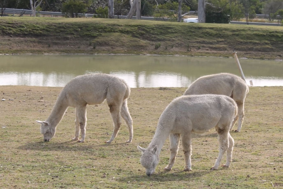 Berrima Retreat Group Accommodation for upto 55 Guests