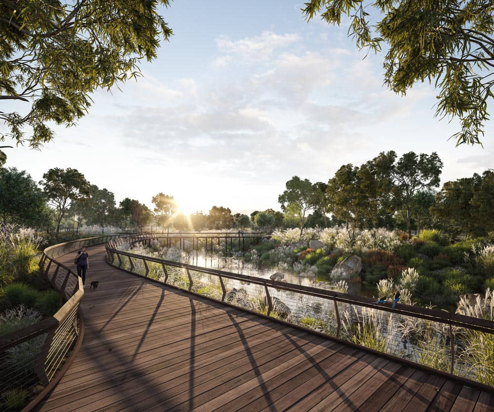 Walloon — Lot 567