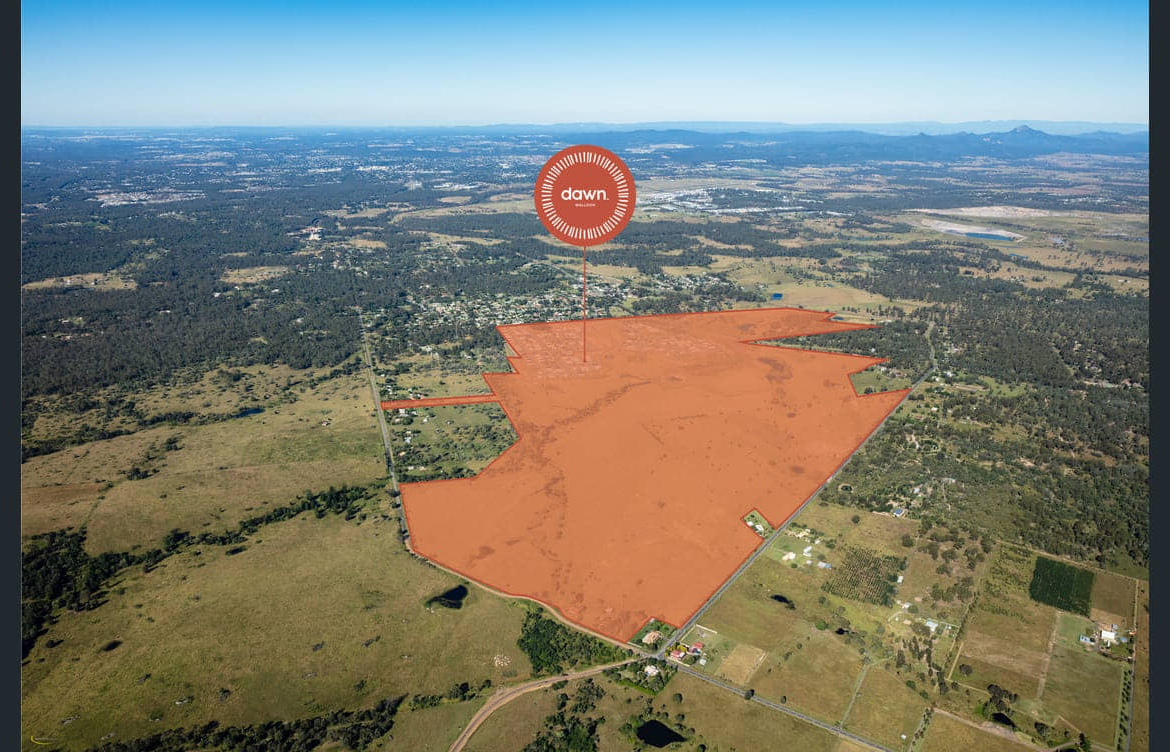 Walloon — Lot 787
