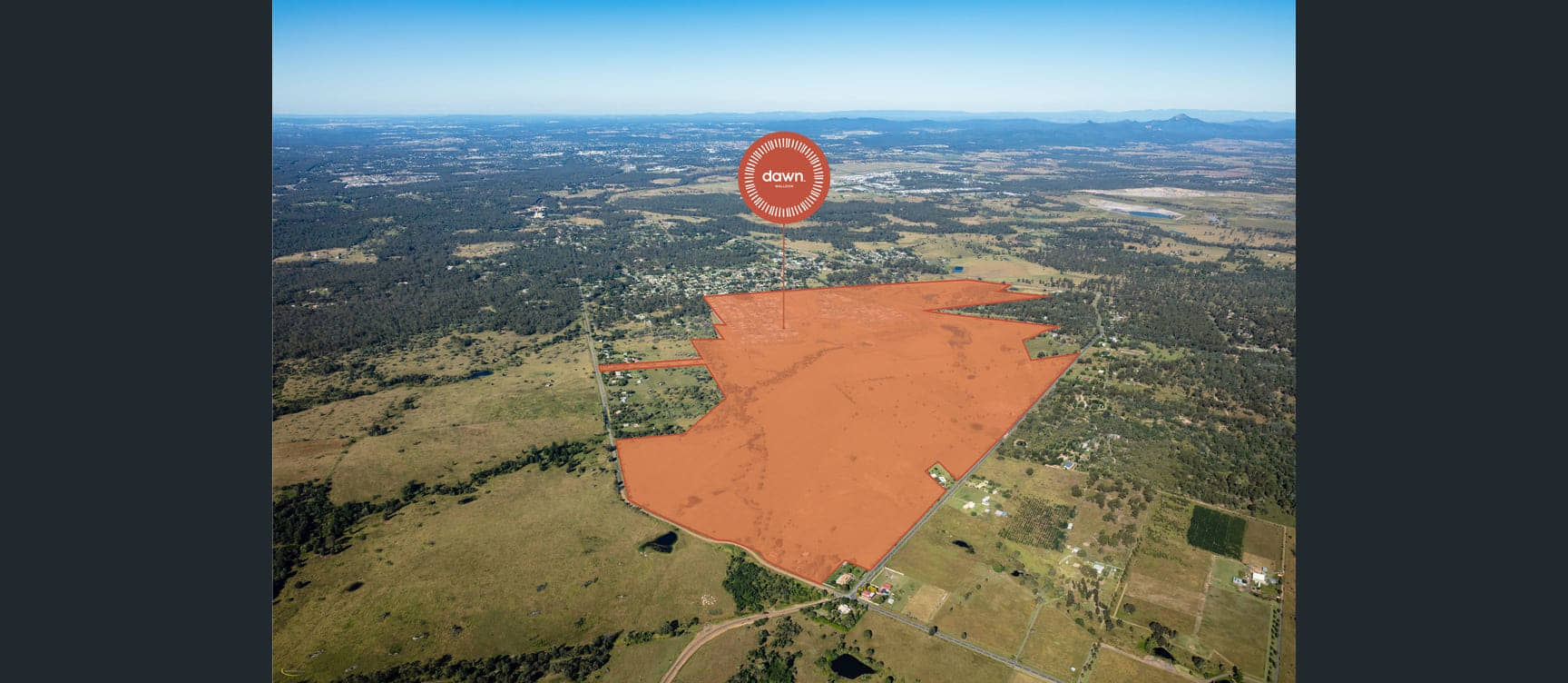 Walloon — Lot 787